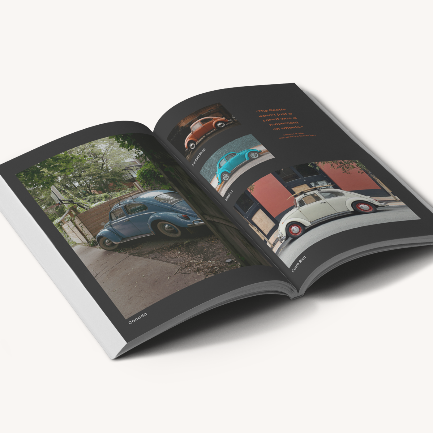 mayAlsoLike.hardcoverAndPaperback.paperbackAlt